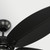 Generation Lighting Cruise Outdoor 60 60"Ceiling Fan in Matte Black - 5CUR60BK