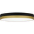 Quoizel Weldin LED Flush Mount in Matte Black Gold - WLN1615MBKG