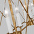 Visual Comfort Studio Beatrix Six Light Chandelier in Antique Gild - CC1646ADB Visual Comfort Studio Beatrix Six Light Chandelier in Antique Gild - CC1646ADB