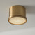 Capital Lighting Griffin One Light Flush Mount in Aged Brass - 259412AD