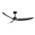 Kuzco Lighting Hugo 52" Ceiling Fan in Brushed Gold/Matte Black - CF72952-BG/MB-5CCT