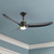 Kuzco Lighting Hugo 52" Ceiling Fan in Brushed Gold/Matte Black - CF72952-BG/MB-5CCT
