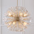 Capital Lighting Emelie Eight Light Chandelier in Matte Brass - 457881MA