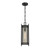 Savoy House Jacobs One Light Outdoor Hanging Lantern in Matte Black - 5-3806-BK