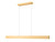 Z-Lite Hudson LED Linear Chandelier in Gold - 1016-55L-GLD-LED