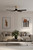 Minka Aire Seressa 56" Ceiling Fan in Heritage Brass - F793L-HBR/CL