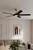 Minka Aire Seressa 56" Ceiling Fan in Heritage Brass - F793L-HBR/CL