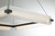 Eurofase Neoness LED Chandelier in Matte Black - 50052-028
