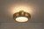 Eurofase Macey LED Semi-Flush Mount in Antique Brass - 50390-021