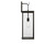 Generation Lighting Rox One Light Lantern in Antique Bronze - GLO1781ANBZE
