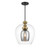 Metropolitan Amesbury One Light Pendant in Coal And Oxidized Aged Brass - N6661-865