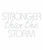 STRONGER THAN THE STORM