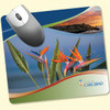 Mouse pad Full Color 7 1/2"  x 8"  con 1/8" Grosor  

