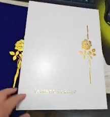 Folder Plastico 9x12 Bolsillos Clear 