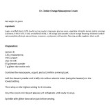 Dr. Oetker Orange Mascarpone Cream Christmas Desssert