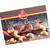 Wicklein "Vanilla Kipferl" Crescent Butter Cookies in Gift Pack 4.6 oz