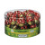 Riegelein Milk Chocolate Good Luck Beetles in Drum
