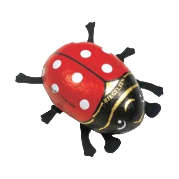 Riegelein Milk Chocolate Good Luck Beetle Large