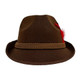 The Taste of Germany Brown Alpine Hat