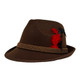 The Taste of Germany Brown Alpine Hat