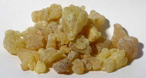 Frankincense 1 lb. tears