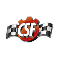 CSF