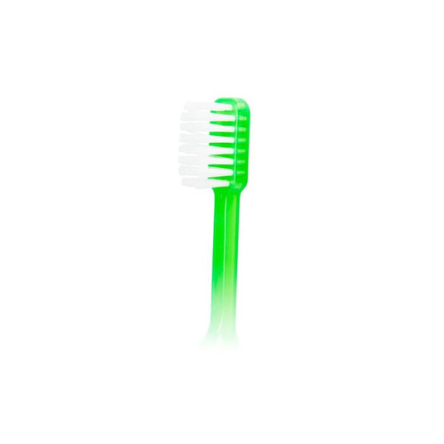 Caredent Adult Toothbrush