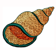 Hat Size Conch Seashell Embroidered Patch