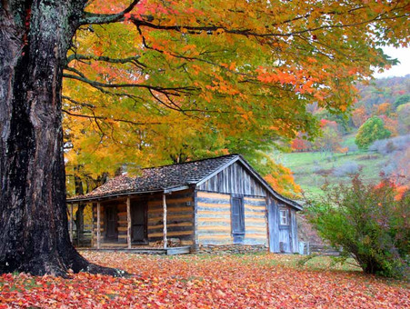 Cell Phone Signal Boosters for Cabins & Cottages: Get Better Reception