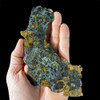 Admire pallasite meteorite Admire pallasite meteorite