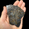 Admire pallasite meteorite Admire pallasite meteorite