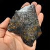 Admire pallasite meteorite Admire pallasite meteorite
