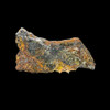 Admire pallasite meteorite