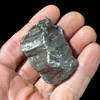 Gebel kamil meteorite