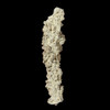 Fulgurite specimen