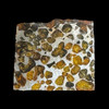 pallasite meteorite pallasite meteorite