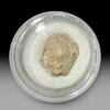 Moon meteorite NWA 13974 