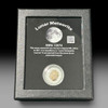 NWA 13974 meteorite