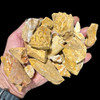 Bulk Cretaceous  dinosaur bone mix