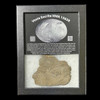 NWA 15658 eucrite meteorite polished slice 