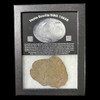 HED polymict eucrite meteorite NWA 15658 from asteroid 4 Vesta

