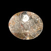 Small Oval Goniatite dish