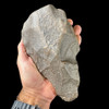 Acheulean Handaxe | Ancient Homo Erectus Stone Tool 
