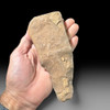 Genuine Acheulean handaxe from North Africa showing bifacial knapping and desert patina