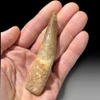Large Spinosaurus tooth