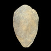Genuine Acheulean handaxe from North Africa showing bifacial knapping and desert patina