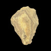 Stoneage handaxe