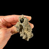 Fulgurite from Algeria