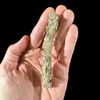 Fulgurite from Algeria