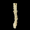 Fulgurite from Algeria